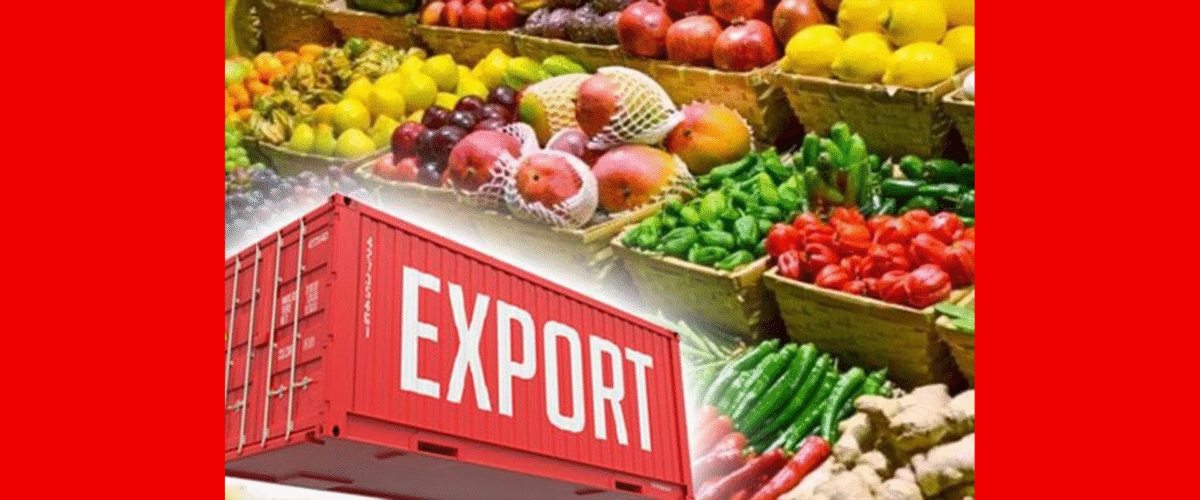 صادرات محصولات کشاورزی